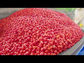 kimsa q'uni you tube video screenshot